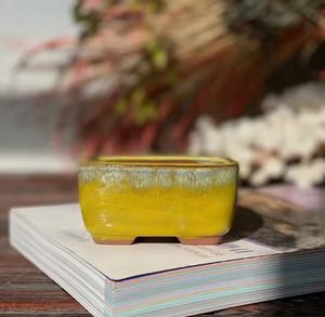 Pots succulents ronds en céramique peints en bleu de style de vente chaude avec plateau - Product Image 3