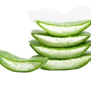 Gel di Aloe Vera pura 100% Gel di Aloe Vera puro gel di aloe vera per la cura del corpo personale del viso da fornitore indiano