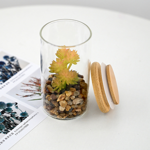 <span class=keywords><strong>Terrarium</strong></span> Vase en verre transparent miniature de 11cm avec fausses succulentes pour décor de table et faveurs de mariage en vrac - Product Image 3