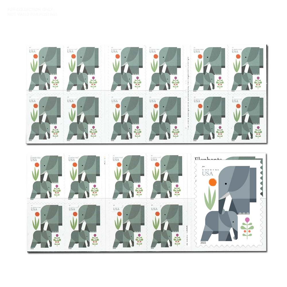 Éléphants blancs Y60 2022