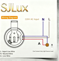 SanJin AC 110V-240V 10A IP44 Interrupteur à capteur jour-nuit Réglable Lux Temps de réponse 0,3-0,5s pour éclairage public extérieur