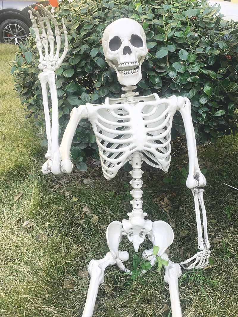 Scheletro Umano A Grandezza Naturale 165 Cm - Halloween Decorazione Con Articolazioni Mobili - Per Casa Haunted