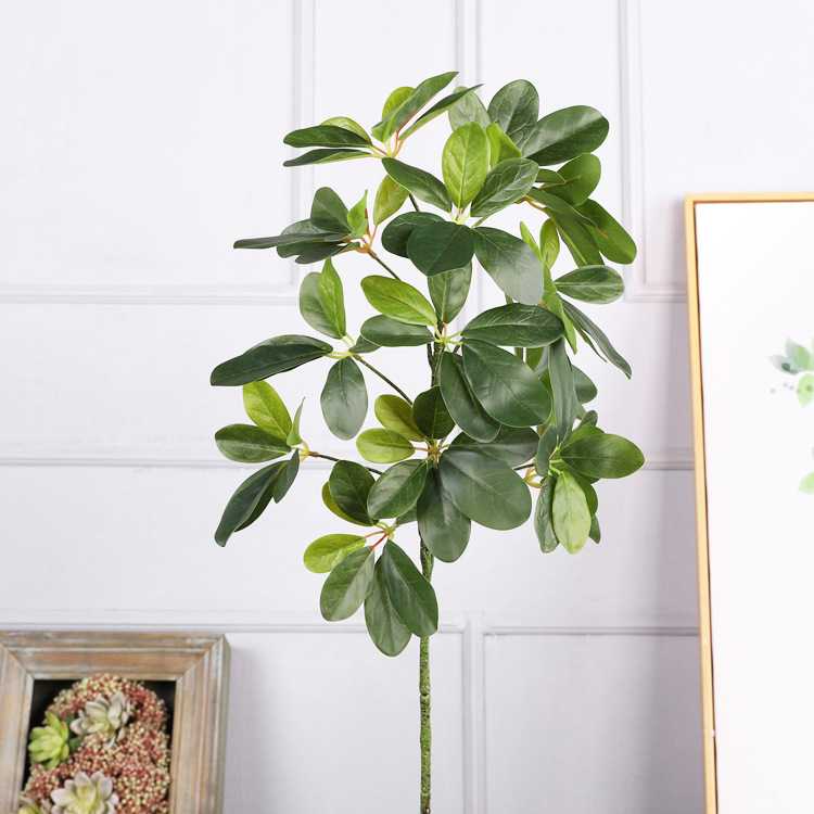 Hojas de patas de pato tridimensionales.