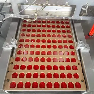 Mesin Pembuat Permen Jelly Bola Mata 3D Semi Otomatis
