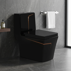 WC monobloc décoratif moderne à double chasse en céramique, à poser au sol, avec siphon en P pour salle de bain, hôtel, villa - Product Image 6