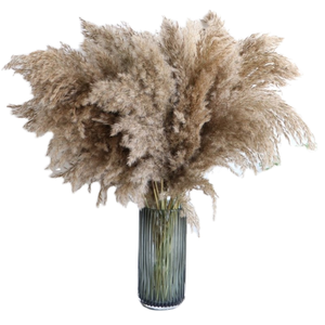 Vente en gros 80CM d'eau de Javel naturelle préservée fleurs séchées et herbe de pampa <span class=keywords><strong>Miscanthus</strong></span> pour la décoration du Nouvel An chinois - Product Image 2