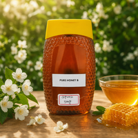 Pot en plastique texturé de 500g de miel naturel avec bouchon jaune, miel pur doré pour le thé, le petit-déjeuner, la pâtisserie et la restauration