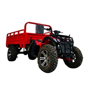 Todoterreno de cuatro ruedas para adultos, ATV, ATV, granja, con Sendero, 2023 - Product Image 6