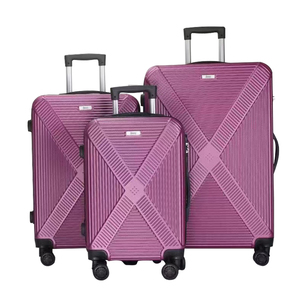 ross luggage For International Travel 