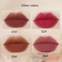 Fournisseur label privé Crème liquide végan mate Brillant à lèvres rouge à lèvres étanche Tubes de rouge à lèvres mode Produit cosmétique doré OEM