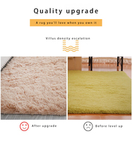 Tapis Moderne de Luxe en Fausse Fourrure et Polyester, Super Doux, Moelleux et Confortable pour Chambre et Salon, Couleur Unie, Lavable en Machine