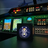 Simulateur d'avion Aurora R44 R22 - Vol simulé