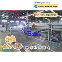 Baiyu Automatische Bevroren Aardappel Frietjes Sorteermachine Pomp Motor Lager Voor Restaurants Fabrieken Plc Inbegrepen