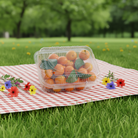 Boîte à fruits en plastique bio PLA transparente compostable et biodégradable avec gaufrage, forme personnalisée, épaisseur 40, 1000ml/1500ml/2000ml