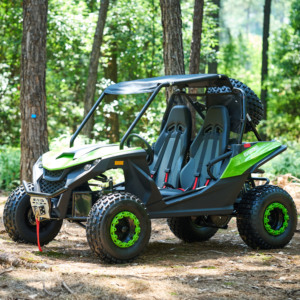 Mới 200cc 180cc Racing Go Kart 4-đột quỵ làm mát bằng không khí Buggy với đĩa phanh động cơ nhiên liệu khí - Product Image 2