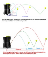 Machine automatique de lancer de balle de pagaie de tennis d'entraînement à coup unique pour les joueurs novices équipement d'usine pour l'entraînement de tennis