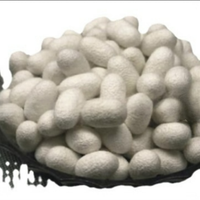 Fil de soie de mûrier de soie d'usine blanc fil de soie véritable chaîne de cheveux de poupée fil de soie brut de soie longue blanche fil de soie non traité