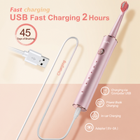Brosse à dents électrique sonique tendance, rechargeable, 5 modes, étanche IPX7, chargement USB, minuteur intelligent, soins dentaires, usage domestique