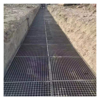 Tapis filtrant d'eau en gazon artificiel LeJing, panneau de drainage en PEHD pour aménagement paysager, plateau de plantation, grille de gazon en plastique pour jardin de toit