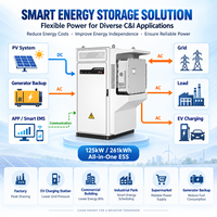Sistem Tenaga Luar Ruangan ESS Industri Komersial LiFePO4 50-300kWh dengan Pendingin Cairan 125kW PCS Manajemen Penyimpanan Energi Cerdas
