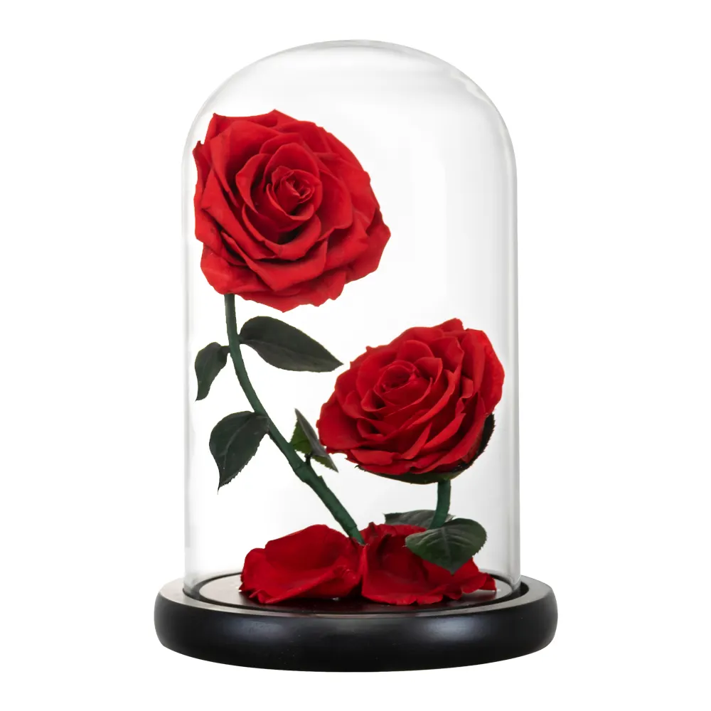 Bunga Asli Sentuh Model Baru Asli Murah Bunga Abadi Mawar Yang Diawetkan dengan Dua Mawar Dalam Kotak Hadiah