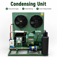 Unité de condensation frigorifique refroidie par air, structure compacte, pour projet de chambre froide de boissons et produits laitiers