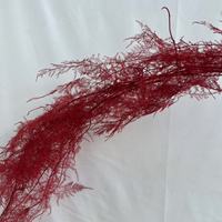 Fougère Plumosa Séchée Naturelle, Feuille Décorative Verte pour Bouquet et Décoration de Fête, OEM