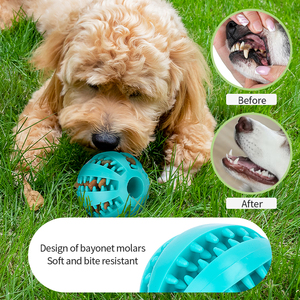 <span class=keywords><strong>Pet</strong></span> üretici çeşitli toksik olmayan Bite dayanıklı IQ eğitim 6cm 8cm evcil hayvan yemi dağıtım köpek oyuncak top - Product Image 4