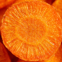 HALAL Kosher Certificaat Gedroogd Fruit & Groente Vacuüm Gefrituurde Wortelchips Zoete Snack Voedzame Oosterse Fruitgroente ODM OEM Retail