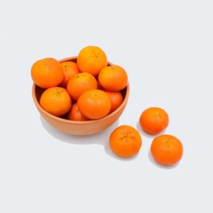 Poudre de Matcha Mandarine en Gros, Infusion Naturelle d'<span class=keywords><strong>Orange</strong></span>, Poudre de Thé Vert Aromatisée aux Fruits pour Bubble Tea, Latte, Smoothie - Product Image 2