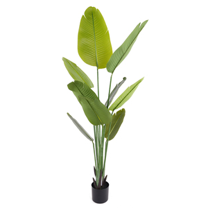 Árbol de Plátano Artificial de <span class=keywords><strong>Ravenala</strong></span> de Plástico de Alta Calidad, Plantas Verdes del Paraíso, Resistentes a los Rayos UV, Ecológicas, 150 cm, para Hoteles y Cafeterías - Product Image 1