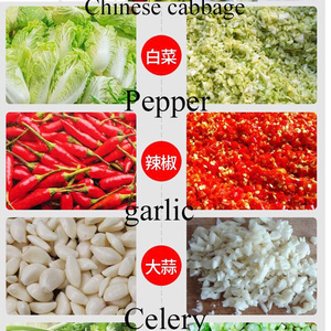 Máy cắt rau Máy cắt rau 100-150 kg/giờ Hạt Rau nhồi Máy suitfor bắp cải Tỏi tây cần tây - Product Image 6