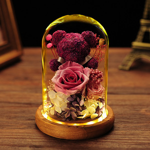 Regalo de Navidad o San Valentín, Oso de Flores Eternas con Cubierta de Cristal y Musgo, Caja de Regalo Terminada para Novia, Decoración de Cumpleaños, Rosa - Product Image 5