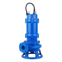 POMPE SUBMERSIBLE À DRAINAGE WQ