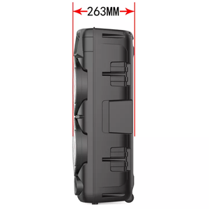 Loa Ngoài Trời Không Dây 8 Inch Di Động Với Mic - Product Image 3