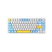 Russian 82 Keys ABS Keycap Hot Swap N-keys Rollover Gasket Wired Rainbow Backlit Gaming Mechanical Keyboard for Office Writing