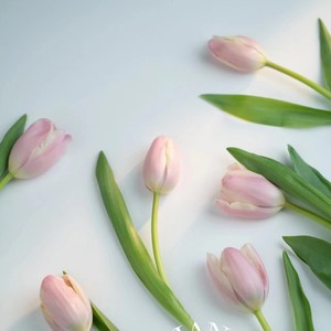 Decoraciones para pasteles con estampado retro europeo de tulipanes, volantes, cinta y adorno acrílico para el Día de la Mujer - Product Image 4