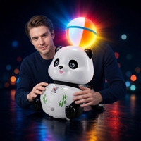 Jouet en plastique TikTok Viral, balle rotative à 360 degrés, Panda avec musique et lumières, pour les tout-petits de 2 à 4 ans, cadeau d'anniversaire