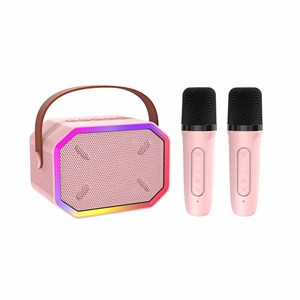 专业心形拾音器，适用于 5.3 放大器，双无线音乐卡拉 OK 麦克风，降噪功能，2000mAh 电池，适用于舞台 - Product Image 1