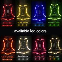Harnais de luxe pour chien certifié BSCI, personnalisé, lumineux dans le noir, grand, réglable, rechargeable, réfléchissant, LED RGB, gilet pour animaux de compagnie