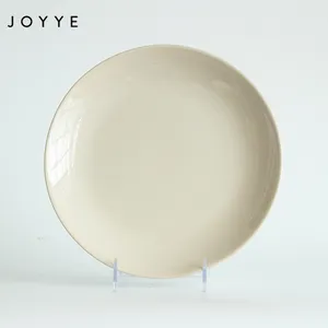 Joyye Eenvoudige Stijl Hoge Kwaliteit Ceramica' Wit China Diner Crackle Glazuur Plaat Set
