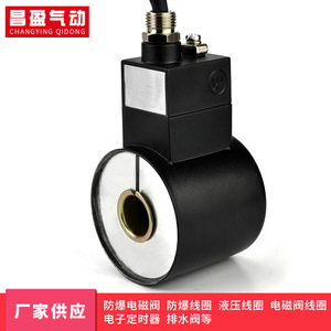 Bobina Solenoide Antiexplosión Changying Qidong 2081 AC220V DC24V para Válvulas Neumáticas - Product Image 4