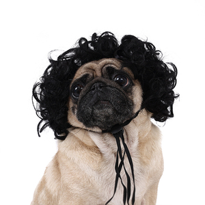 Pelucas de lujo para mascotas suaves, cómodas y de moda para sus mascotas, perfectas para fotos, hacen que sus mascotas se vean adorables - Product Image 1
