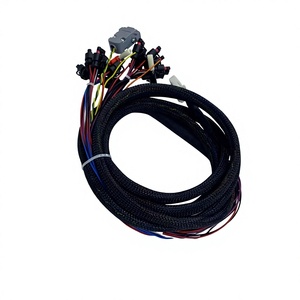 工厂定制汽车 ECU 延长线束，带编织套管，德式连接器，用于发动机控制系统 - Product Image 2