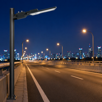 Farola LED de 150LM/W, 50-300W, Impermeable IP65, Iluminación Vial para Carreteras, Autopistas y Pasos Elevados