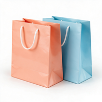 Sac de rangement extérieur en papier couché souple avec design imprimé UV personnalisable pour emballage et utilisation en extérieur