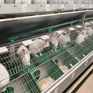 <span class=keywords><strong>Cage</strong></span> d'Élevage pour Lapins en Fil Métallique avec Mangeoire, Prix Compétitif, Grande Vente - Product Image 1