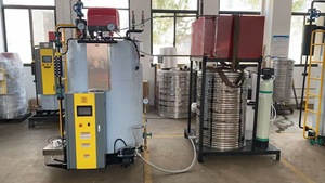 Générateur de vapeur industriel à tube à eau à basse pression vertical CE 300 kg/h, fabricants de chaudières à vapeur au gaz ou au mazout, Moyen-Orient - Product Image 6