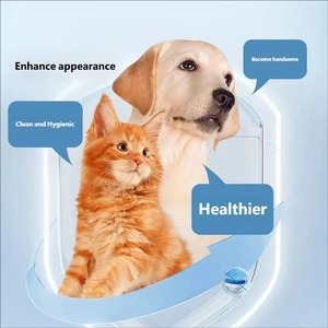 Comprimés à croquer de <span class=keywords><strong>L</strong></span>-Lysine personnalisés pour animaux de compagnie – Compléments nutritionnels pour le soutien immunitaire, à action prolongée, absorption rapide, sans danger pour tous - Product Image 2