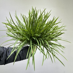 Orquídea Artificial Meng Jie de 30cm-100cm, Planta Decorativa de Plástico para Decoración del Hogar y Exteriores - Product Image 1